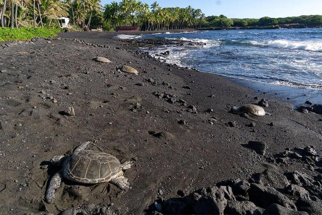 Condo On The Ocean, Lagoon And Garden - Hale Kona Kai 411 By Casago Kona Kailua-Kona Holiday home