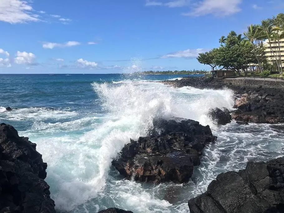 Holiday home Condo On The Ocean, Lagoon And Garden - Hale Kona Kai 411 By Casago Kona Kailua-Kona United States